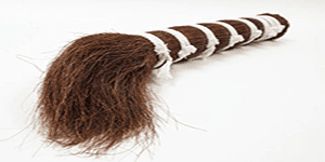 조직이 치밀한 말꼬리 털만을 수거합니다.                             